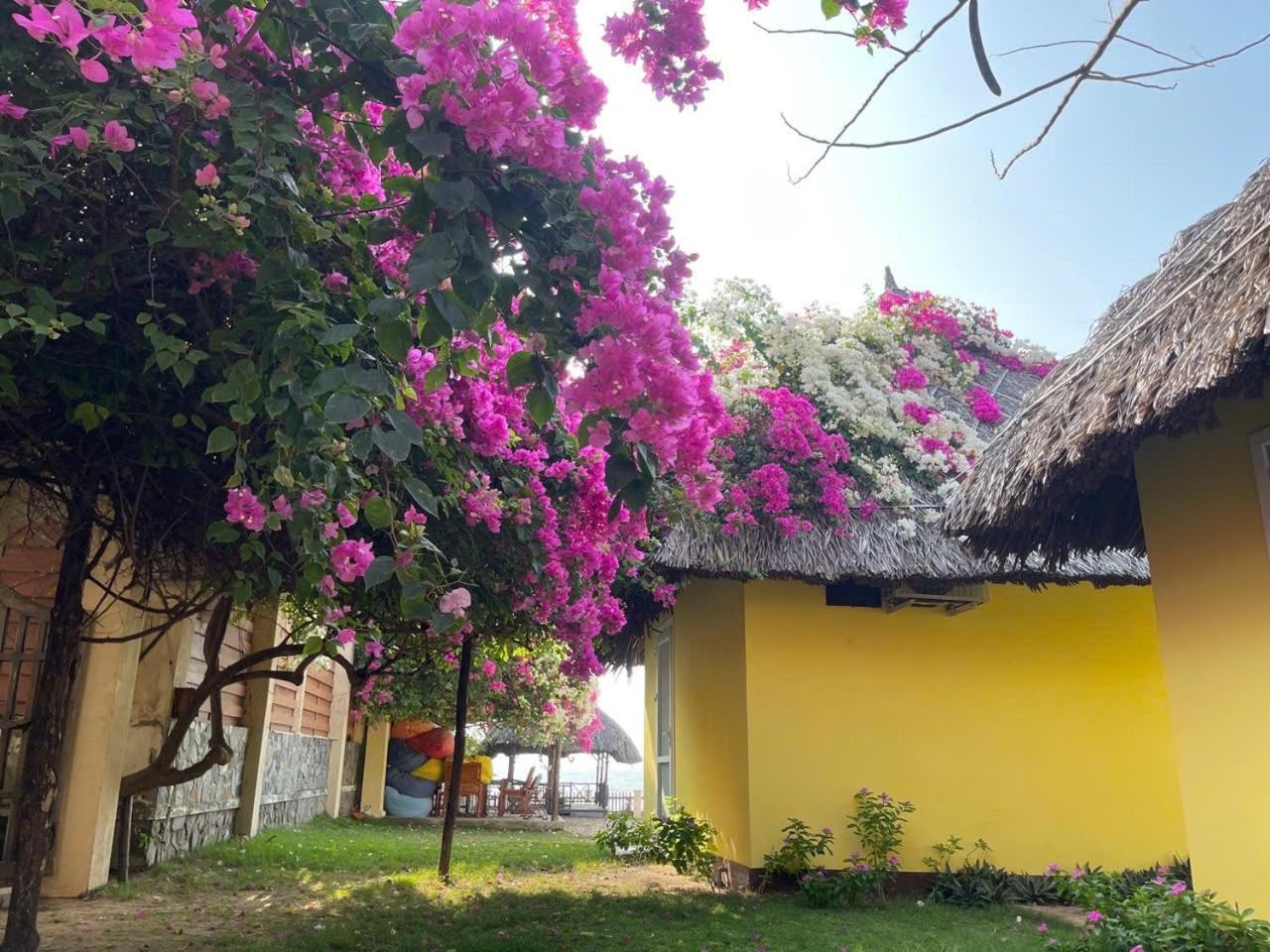 Orchid Boutique Beach Resort Phan Thiet Exterior photo