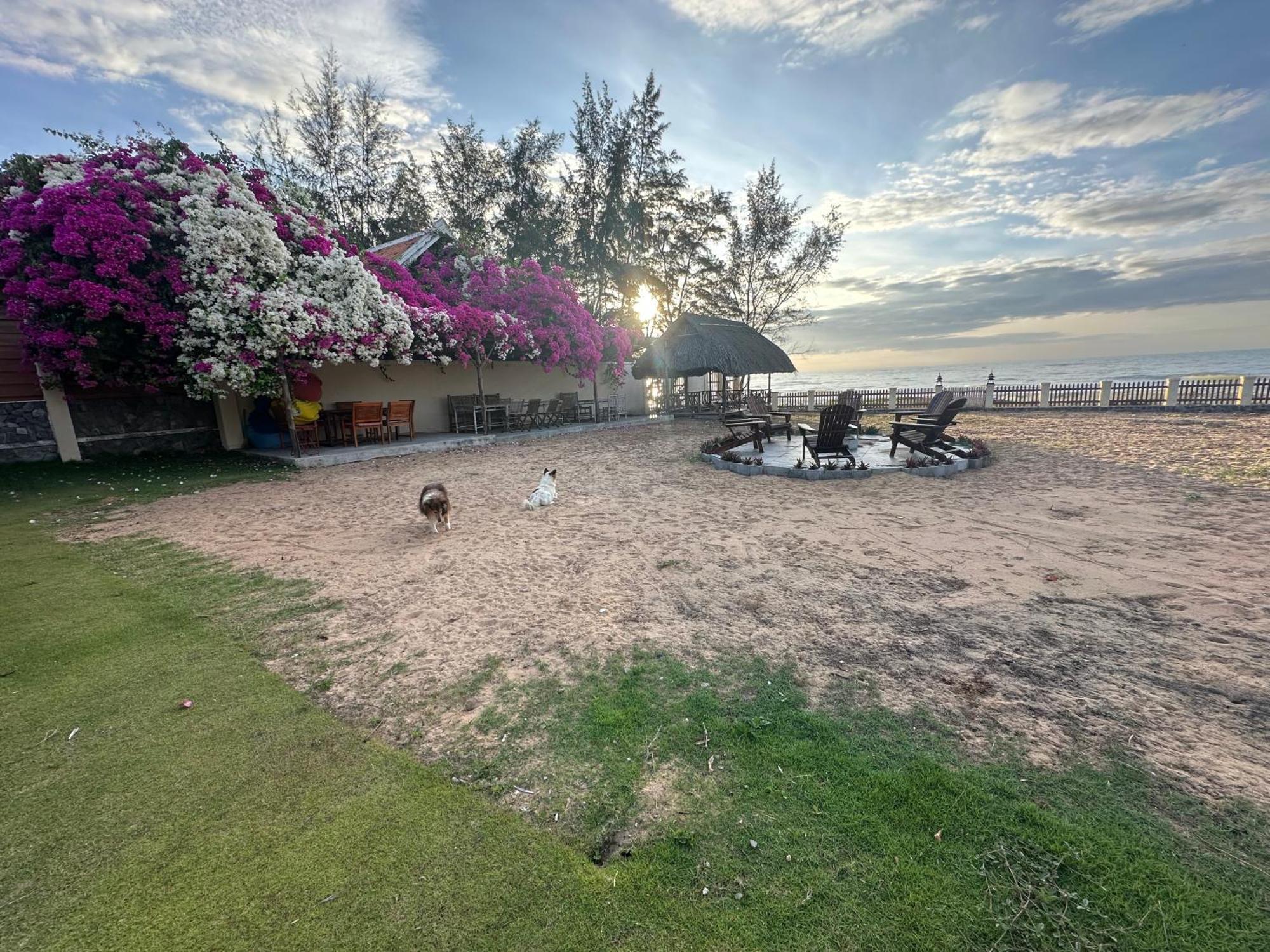 Orchid Boutique Beach Resort Phan Thiet Exterior photo